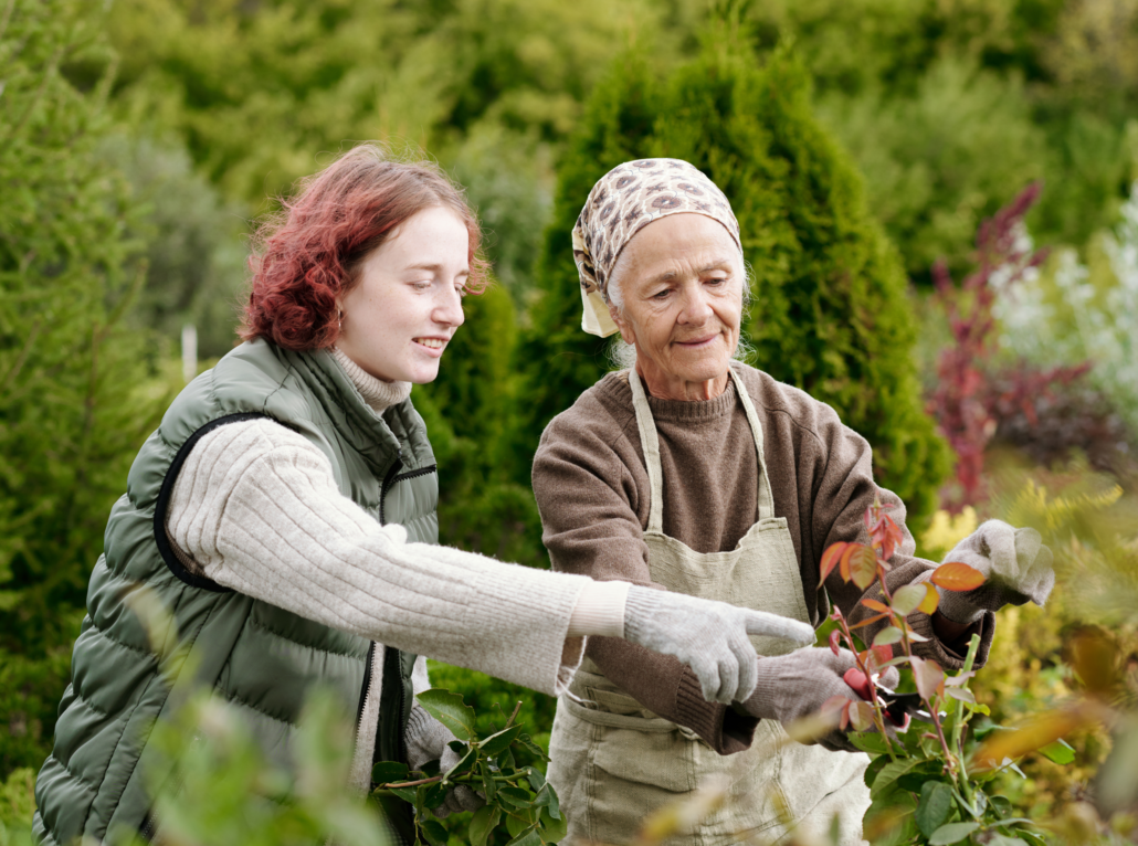 You're Not Alone, Discussing Dementia | Dementia NZ