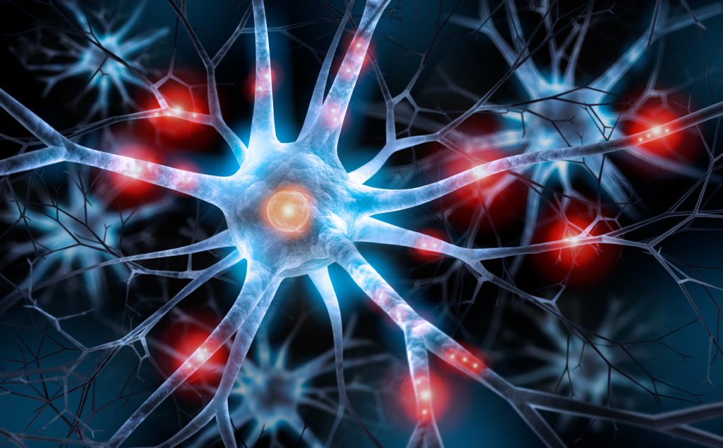 Booklets And Factsheets Dementia NZ