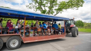 A community day that gives back – Agrodome’s Locals Day