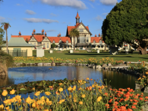 Government Gardens in Rotorua — the Tudor-style museum building reflected behind a pond with yellow and orange flowers in the foreground