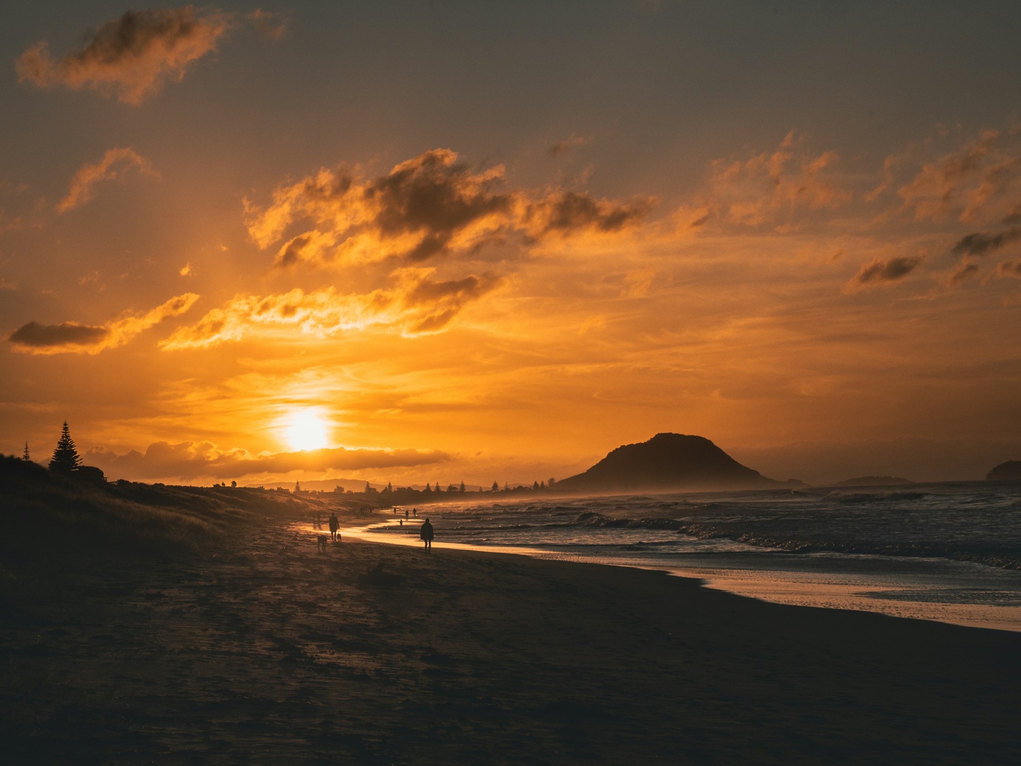 Haere mai &ndash; welcome to Dementia Tauranga